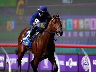 Turf Specialist Golden Pal May Switch Grounds Image 1